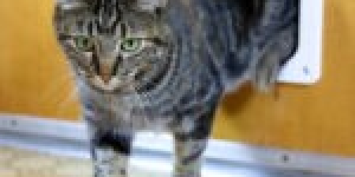 This Week's Most Popular Stories About Cat Flap Replacement Cat Flap Replacement
