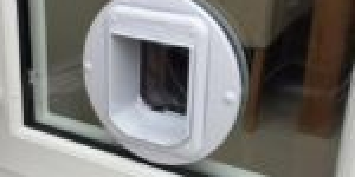 What Is The Reason? Cat In Wall Door Fitting Is Fast Becoming The Hottest Trend Of 2024?