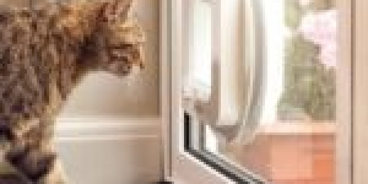 17 Signs You Are Working With Cat Door Installer Reviews