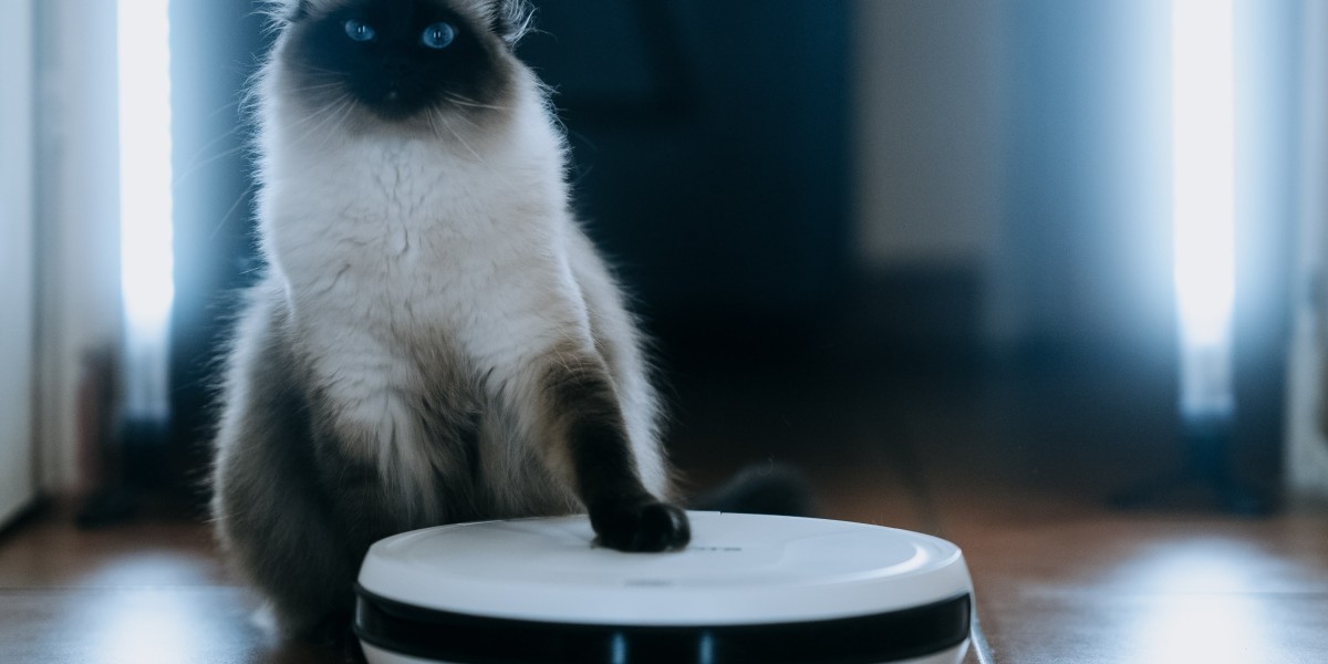 What's The Job Market For Robot Vacuum Cleaner Best Professionals Like?